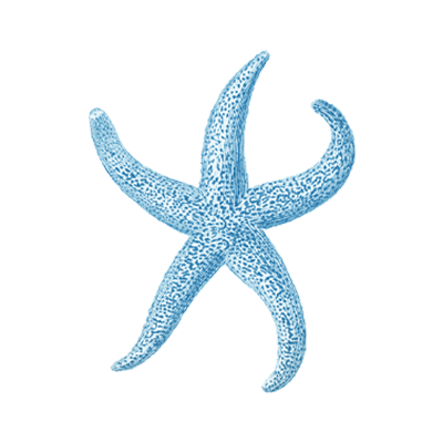 icono estrella